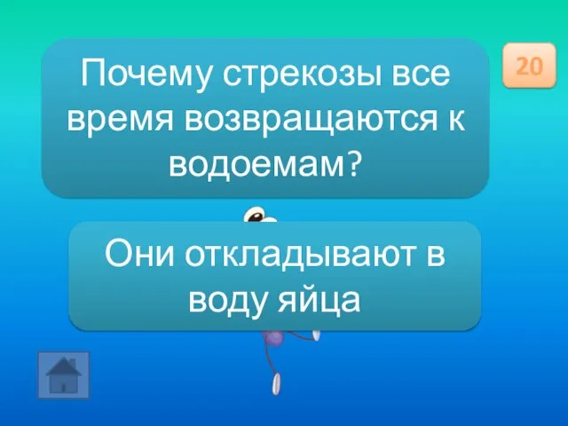 Почему стрекозы все время возвращаются к водоемам? 20 Они откладывают в воду яйца