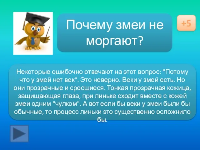 Ответ здесь Почему змеи не моргают? +5 Некоторые ошибочно отвечают на этот