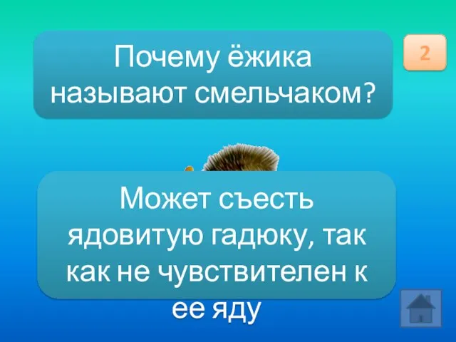 Почему ёжика называют смельчаком? 2 Может съесть ядовитую гадюку, так как не чувствителен к ее яду