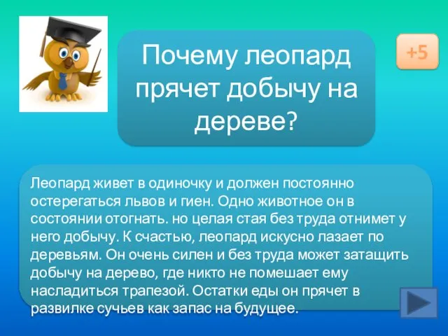 Ответ здесь Почему леопард прячет добычу на дереве? +5 Леопард живет в