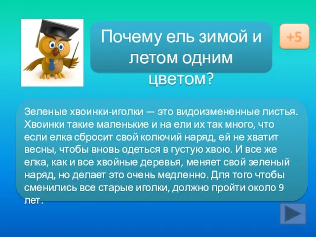 Ответ здесь Почему ель зимой и летом одним цветом? +5 Зеленые хвоинки-иголки