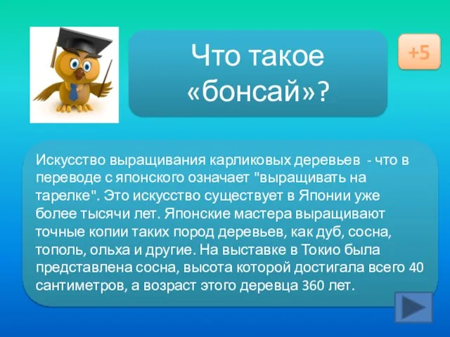 Ответ здесь Что такое «бонсай»? +5 Искусство выращивания карликовых деревьев - что