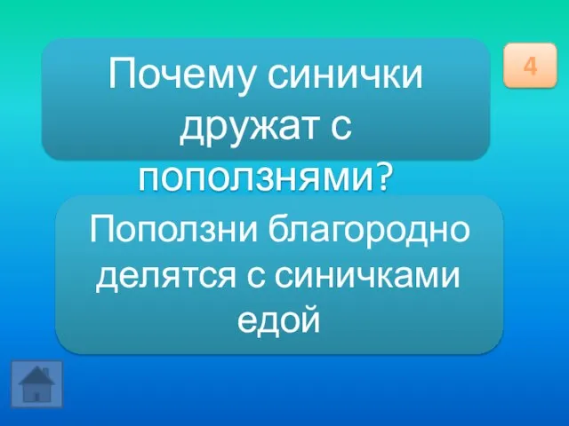 Почему синички дружат с поползнями? 4 Поползни благородно делятся с синичками едой