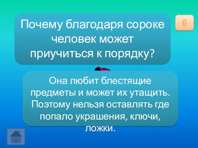 Почему благодаря сороке человек может приучиться к порядку? 6 Она любит блестящие