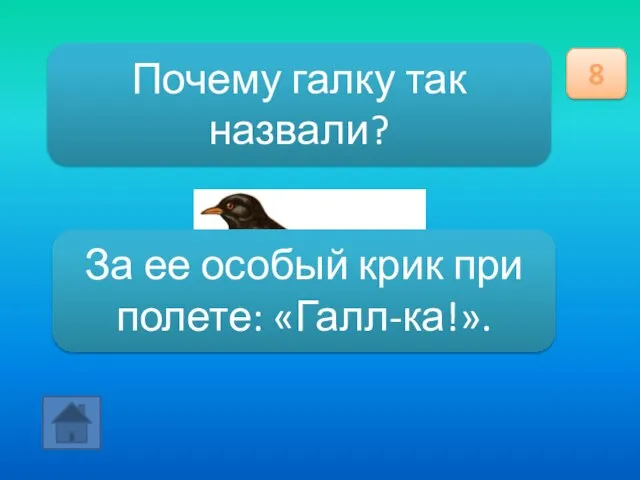 Почему галку так назвали? 8 За ее особый крик при полете: «Галл-ка!».