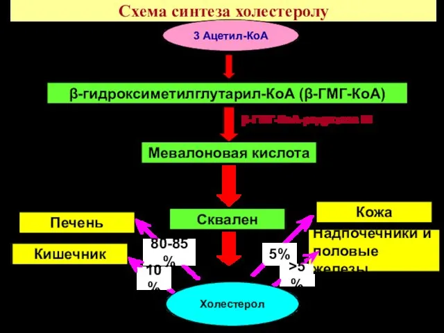 Схема синтеза холестеролу Мевалоновая кислота Холестерол β-ГМГ-КоА-редуктаза !!! Сквален β-гидроксиметилглутарил-КоА (β-ГМГ-КоА) 3