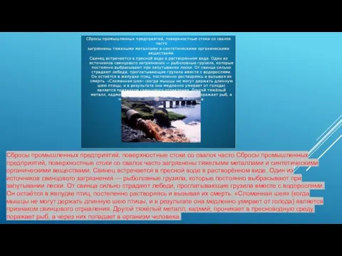 Сбросы промышленных предприятий, поверхностные стоки со свалок часто Сбросы промышленных предприятий, поверхностные