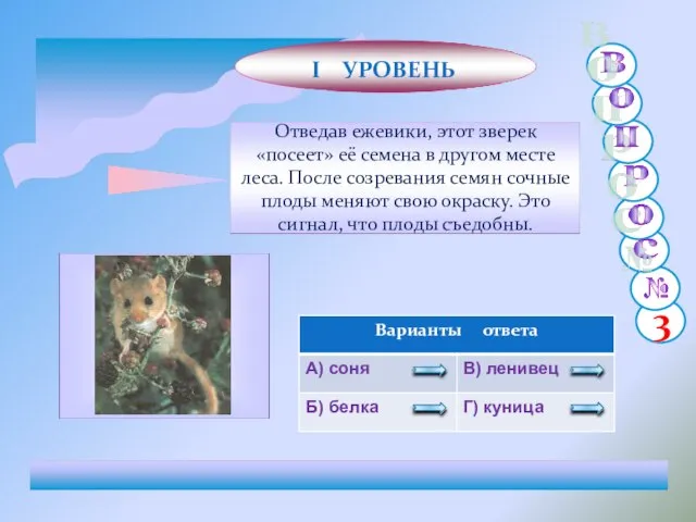 Отведав ежевики, этот зверек «посеет» её семена в другом месте леса. После