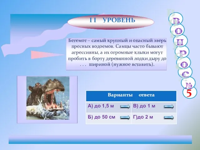 Бегемот – самый крупный и опасный зверь пресных водоемов. Самцы часто бывают