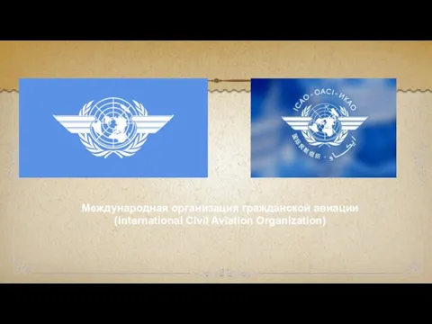 Международная организация гражданской авиации (International Civil Aviation Organization)