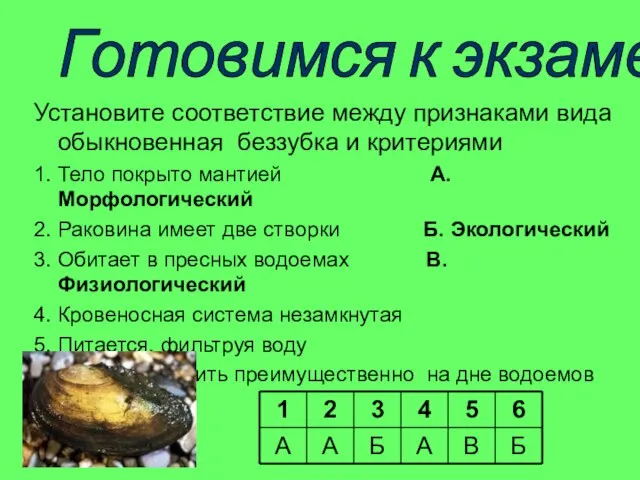 Установите соответствие между признаками вида обыкновенная беззубка и критериями 1. Тело покрыто