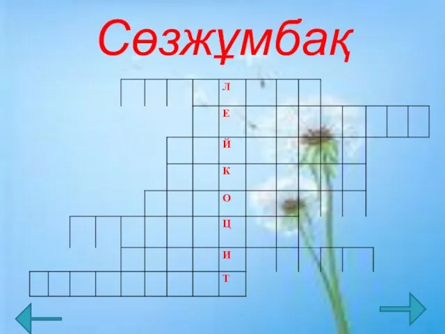 Сөзжұмбақ