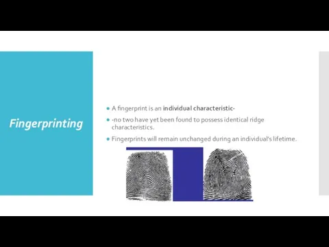Fingerprinting A fingerprint is an individual characteristic- -no two have yet been