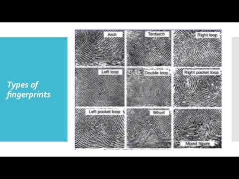 Types of fingerprints