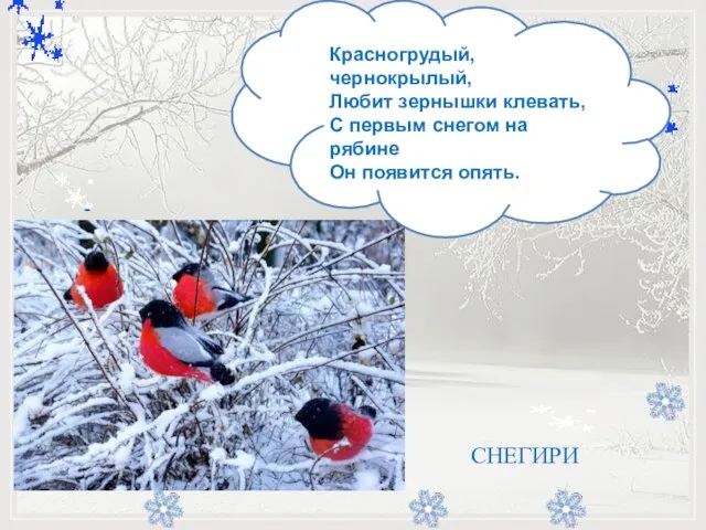 - Красногрудый, чернокрылый, Любит зернышки клевать, С первым снегом на рябине Он появится опять. СНЕГИРИ