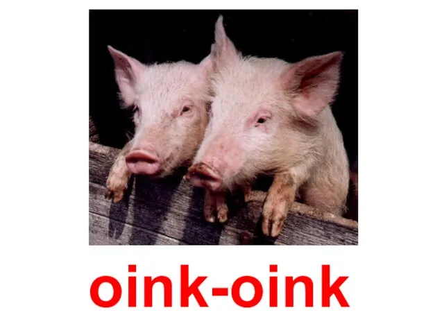 oink-oink