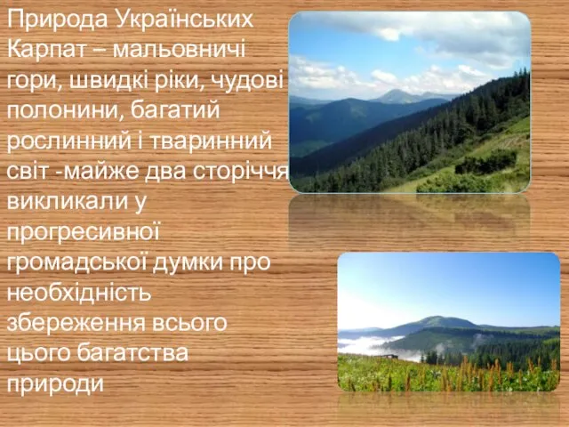 Природа Українських Карпат – мальовничі гори, швидкі ріки, чудові полонини, багатий рослинний