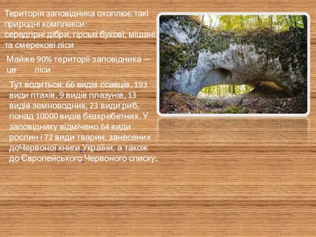 Територія заповідника охоплює такі природні комплекси: середгірні дібри, гірські букові, мішані та