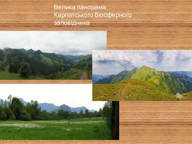 Велика панорама Карпатського біосферного заповідника