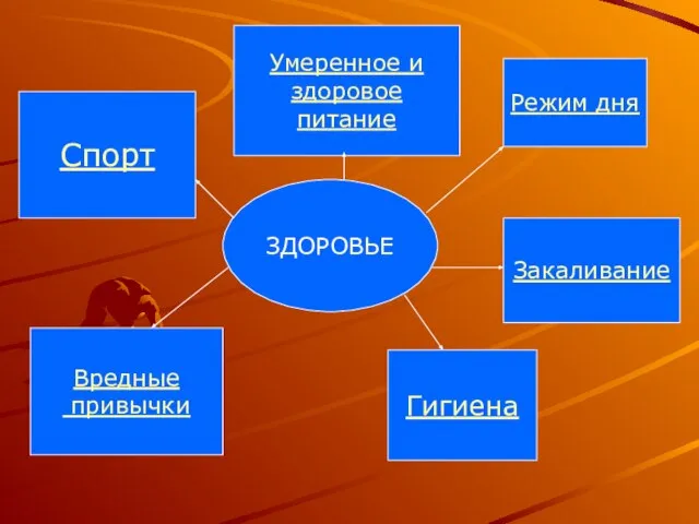 ЗДОРОВЬЕ Режим дня Закаливание Умеренное и здоровое питание Гигиена Вредные привычки Спорт