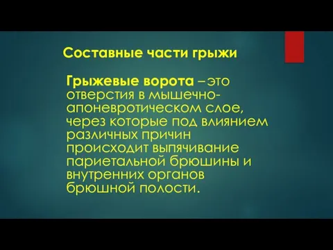 Составные части грыжи Грыжевые ворота – это отверстия в мышечно-апоневротическом слое, через