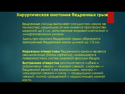 Хирургическая анатомия бедренных грыж Бедренные сосуды выполняют сосудистую лакуну не полностью; медиально