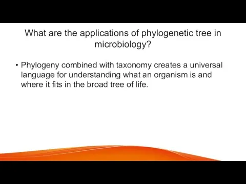 What are the applications of phylogenetic tree in microbiology? Phylogeny combined with