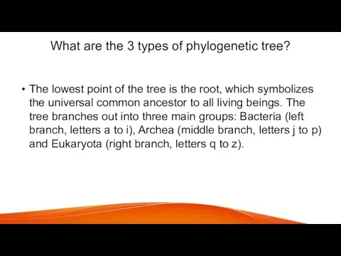 What are the 3 types of phylogenetic tree? The lowest point of