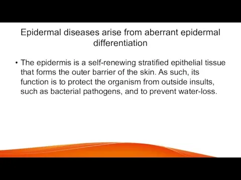 Epidermal diseases arise from aberrant epidermal differentiation The epidermis is a self-renewing