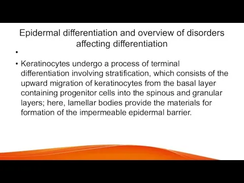 Epidermal differentiation and overview of disorders affecting differentiation Keratinocytes undergo a process