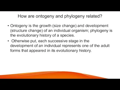 How are ontogeny and phylogeny related? Ontogeny is the growth (size change)