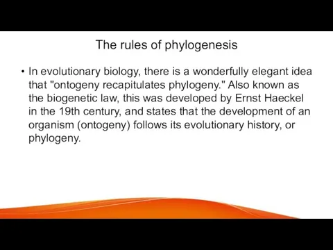 The rules of phylogenesis In evolutionary biology, there is a wonderfully elegant