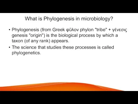 What is Phylogenesis in microbiology? Phylogenesis (from Greek φῦλον phylon "tribe" +