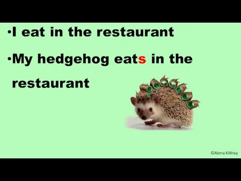 I eat in the restaurant My hedgehog eats in the restaurant ©Alena Kikhay