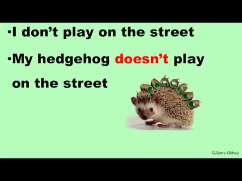 I don’t play on the street My hedgehog doesn’t play on the street ©Alena Kikhay