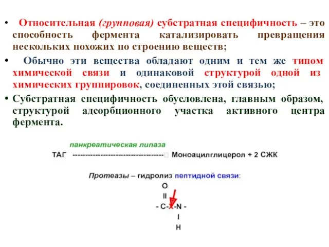 Относительная (групповая) субстратная специфичность – это способность фермента катализировать превращения нескольких похожих