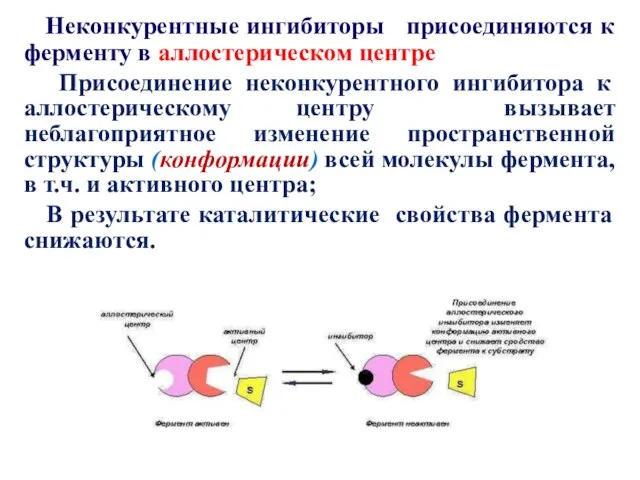 Неконкурентные ингибиторы присоединяются к ферменту в аллостерическом центре Присоединение неконкурентного ингибитора к