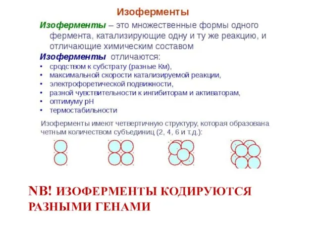 NB! ИЗОФЕРМЕНТЫ КОДИРУЮТСЯ РАЗНЫМИ ГЕНАМИ