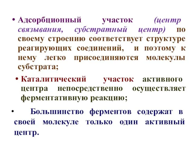 Адсорбционный участок (центр связывания, субстратный центр) по своему строению соответствует структуре реагирующих