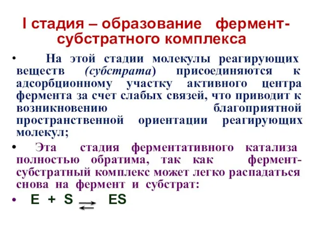 I стадия – образование фермент-субстратного комплекса На этой стадии молекулы реагирующих веществ