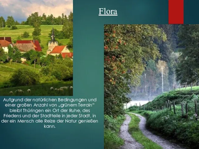 Flora Aufgrund der natürlichen Bedingungen und einer großen Anzahl von „grünem Terrain“