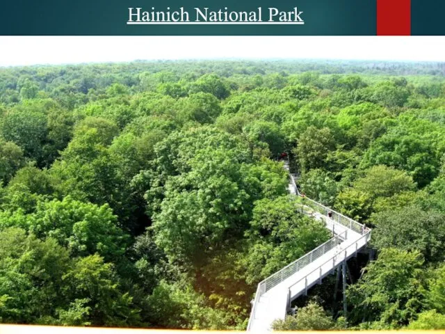 Hainich National Park