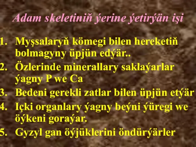 Adam skeletiniň ýerine ýetirýän işi Myşsalaryň kömegi bilen hereketiň bolmagyny üpjün edýär..