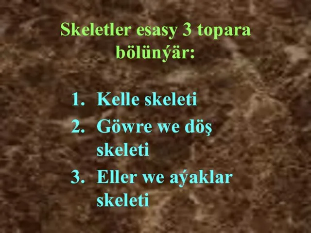 Skeletler esasy 3 topara bölünýär: Kelle skeleti Göwre we döş skeleti Eller we aýaklar skeleti