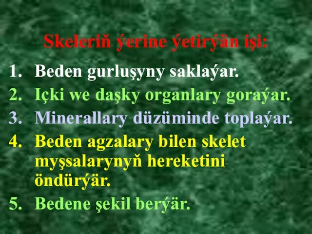 Beden gurluşyny saklaýar. Içki we daşky organlary goraýar. Minerallary düzüminde toplaýar. Beden