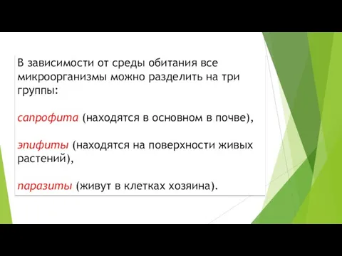 В зависимости от среды обитания все микроорганизмы можно разделить на три группы: