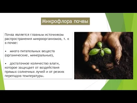 Микрофлора почвы Почва является главным источником распространения микроорганизмов, т. к в почве: