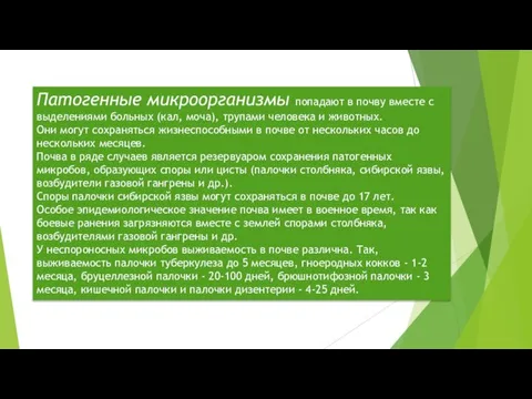 Патогенные микроорганизмы попадают в почву вместе с выделениями больных (кал, моча), трупами