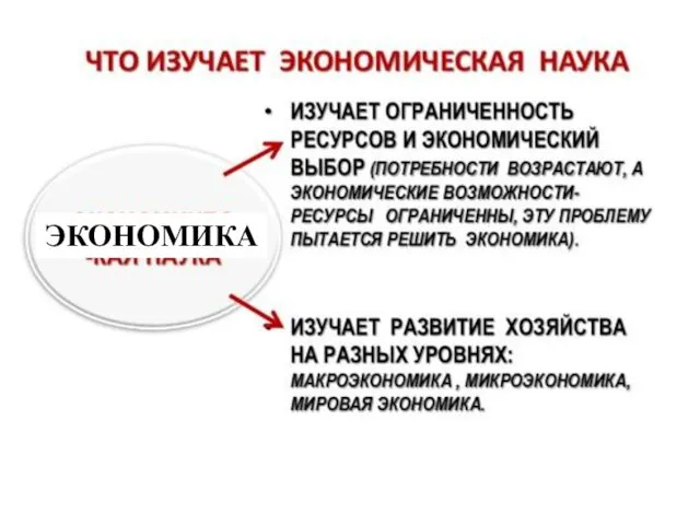 ЭКОНОМИКА