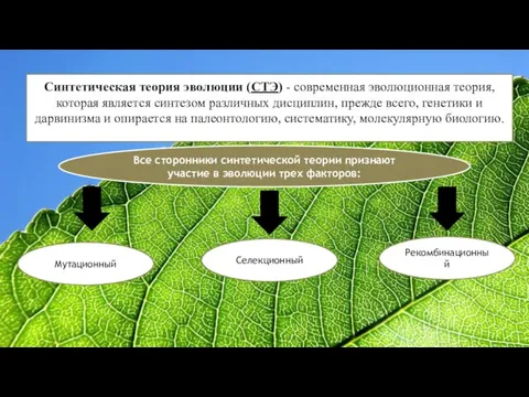 Синтетическая теория эволюции (СТЭ) - современная эволюционная теория, которая является синтезом различных